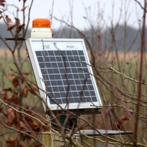 A solar panel surrounded by dry branches in a rural autumn setting, highlighting green technology in nature.